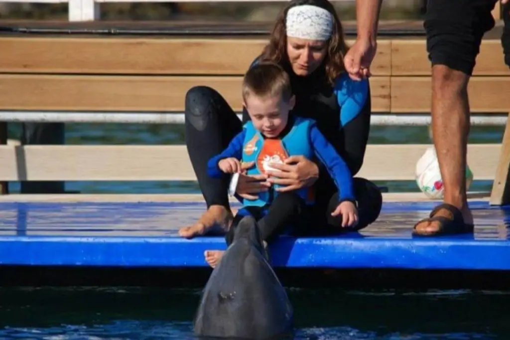 Шоу дельфинов в Кушадасы