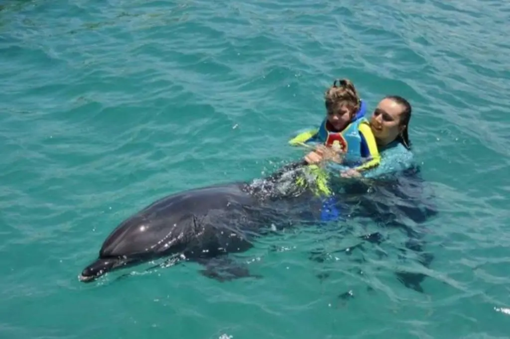 Шоу дельфинов в Кушадасы