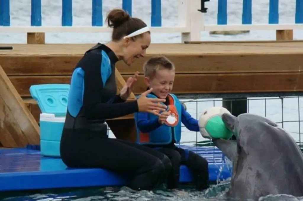 Шоу дельфинов в Кушадасы