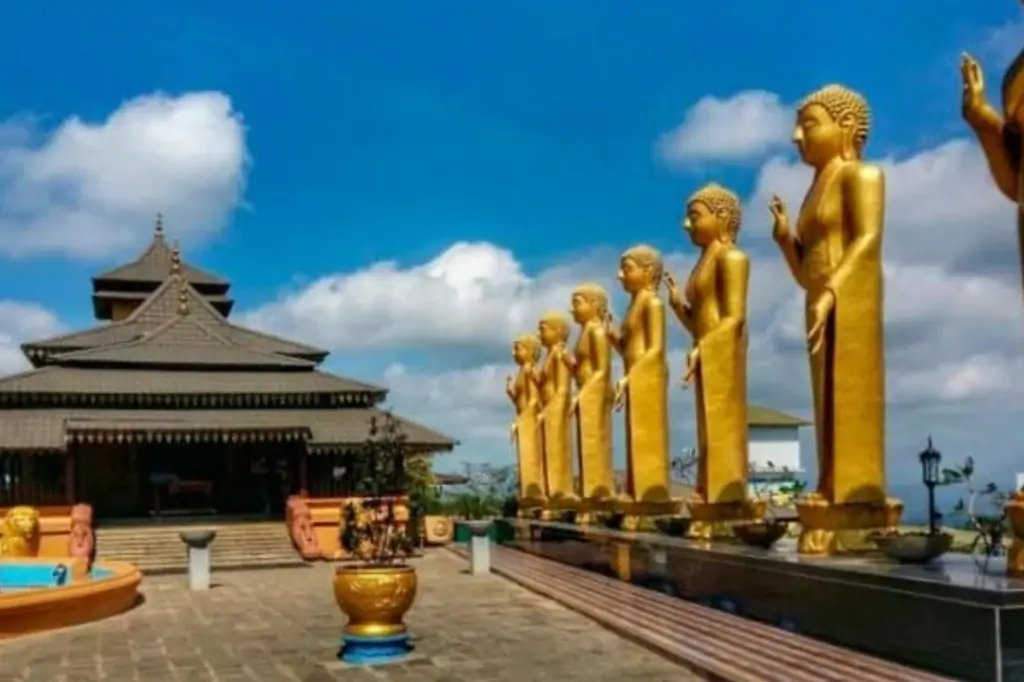 Экскурсия «Сигирия за один день» на Шри-Ланке с подъемом на Сигирию/Пидурангалу