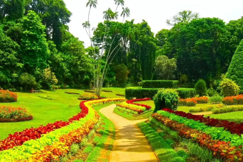 Экскурсия «Канди Тур» на Шри-Ланке