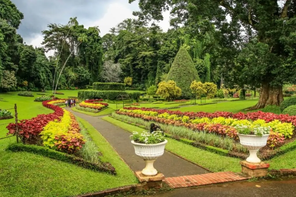 Экскурсия «Канди Тур» на Шри-Ланке
