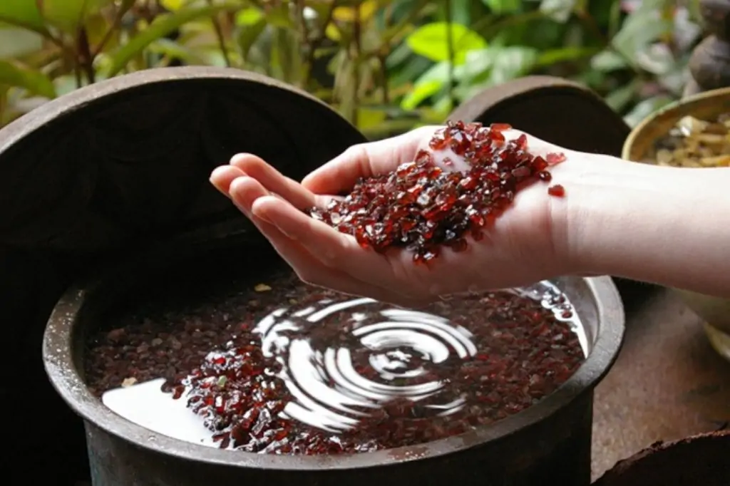 Экскурсия «Форт в Галле + Речное сафари» на Шри-Ланке