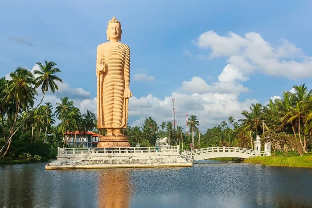 Экскурсия «Форт в Галле + Речное сафари» на Шри-Ланке