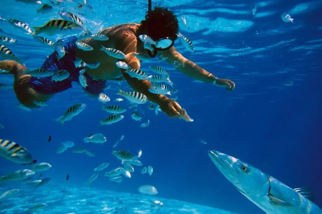 Дайвинг на Шри-Ланке (без трансфера)