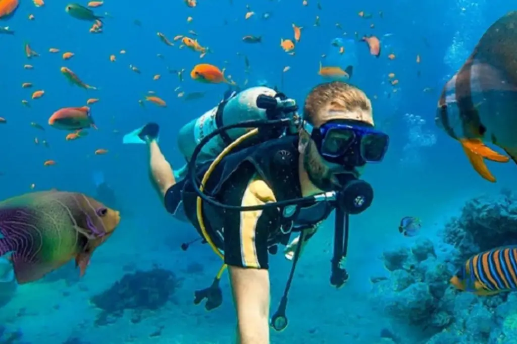 Дайвинг на Шри-Ланке (без трансфера)