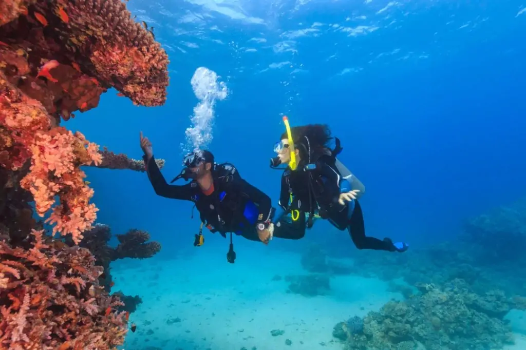 Дайвинг на Шри-Ланке (без трансфера)