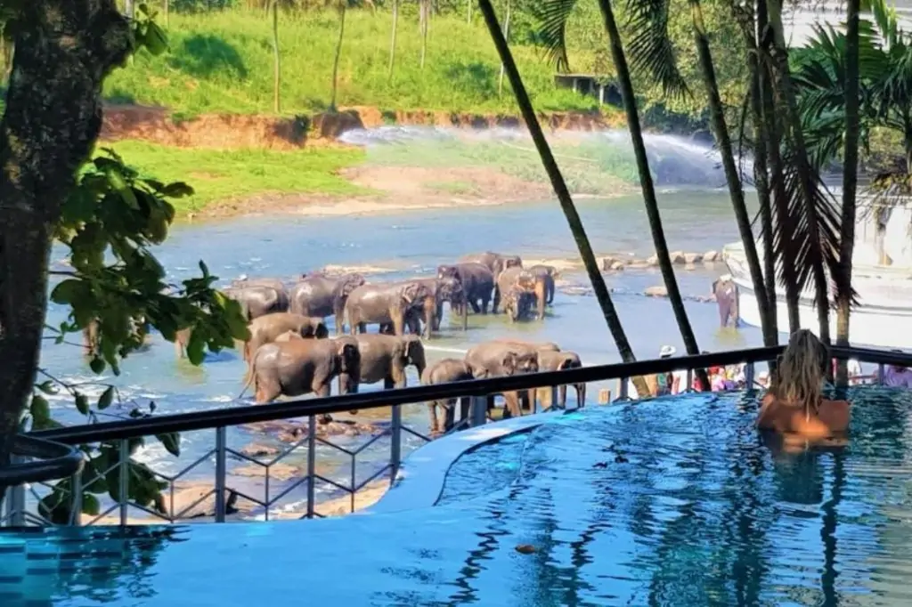 Двухдневная экскурсия «Элла, Сигирия и Слоны в отеле Пинавелла» с подьёмом на Сигирию/Пидурангалу