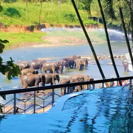 Двухдневная экскурсия «Элла, Сигирия и Слоны в отеле Пинавелла» с подьёмом на Сигирию/Пидурангалу