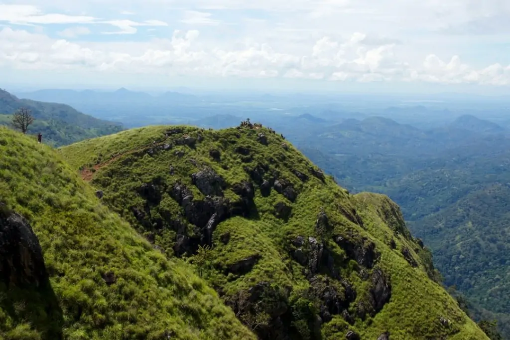 Двухдневная экскурсия «Элла, Сигирия и Слоны в отеле Пинавелла» с подьёмом на Сигирию/Пидурангалу
