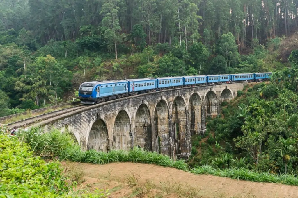 Двухдневная экскурсия «Элла, Сигирия и Слоны в отеле Пинавелла» с подьёмом на Сигирию/Пидурангалу