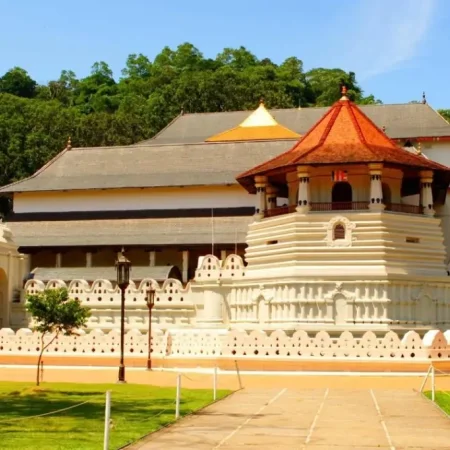 Двухдневная экскурсия «Сигирия + Канди» на Шри-Ланке с подьёмом на Сигирию/Пидурангалу