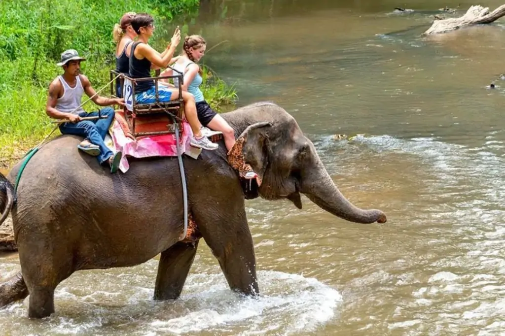 Двухдневная экскурсия «Сигирия + Канди» на Шри-Ланке с подьёмом на Сигирию/Пидурангалу