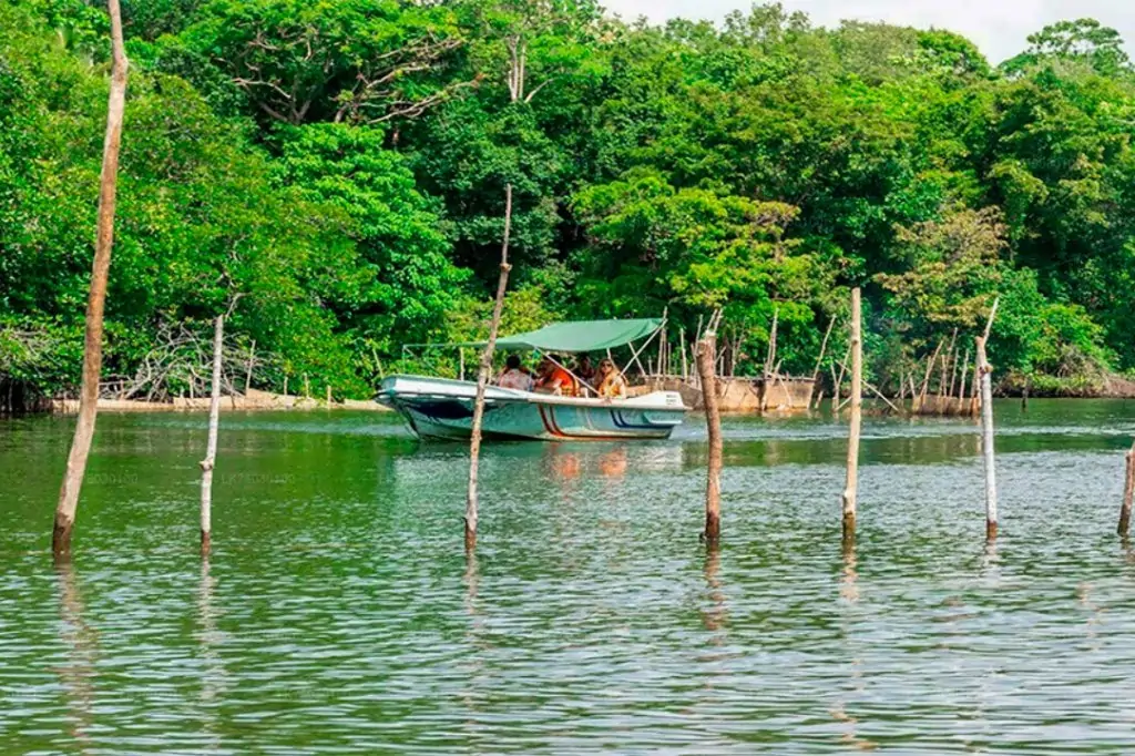 Двухдневная экскурсия «Сигирия + Канди» на Шри-Ланке с подьёмом на Сигирию/Пидурангалу