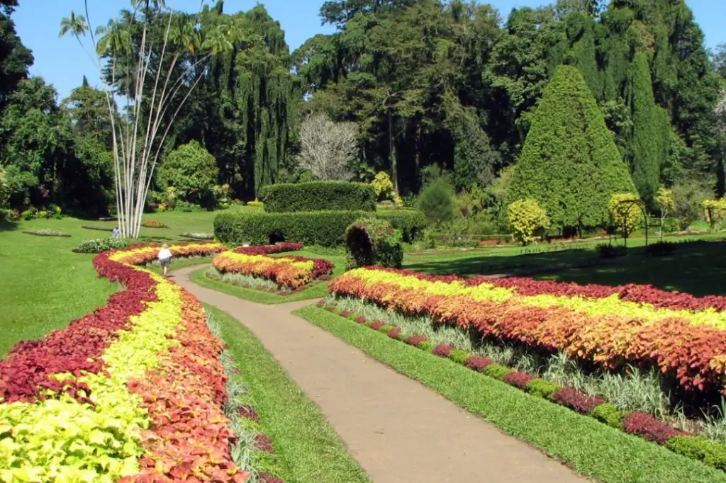 Двухдневная экскурсия «Сигирия + Канди» на Шри-Ланке с подьёмом на Сигирию/Пидурангалу