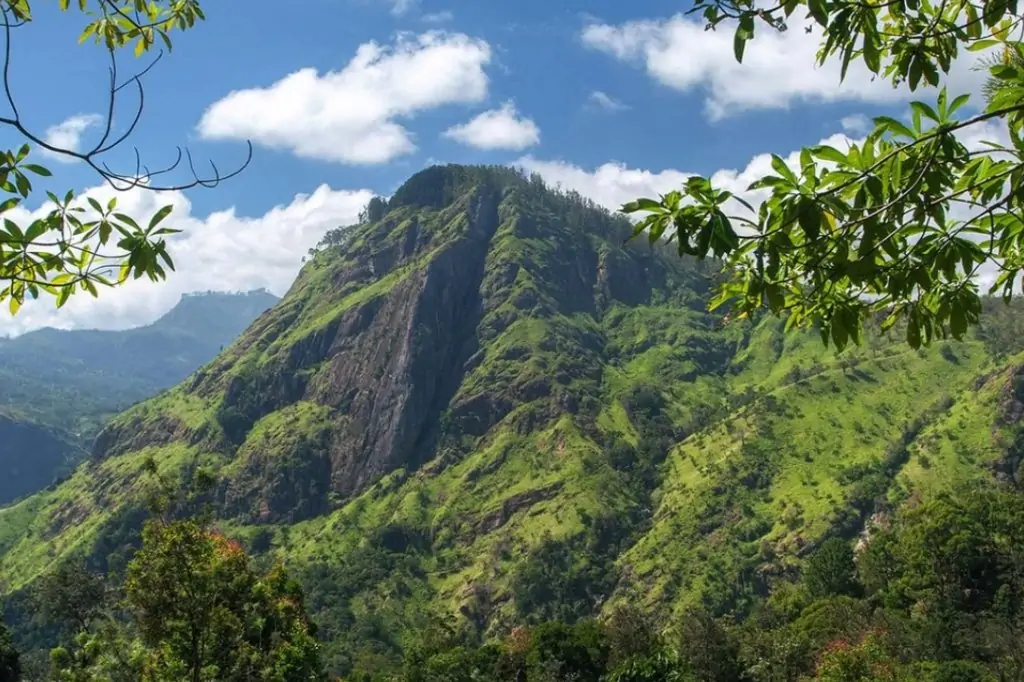 Двухдневная экскурсия «Центр Шри-Ланки»
