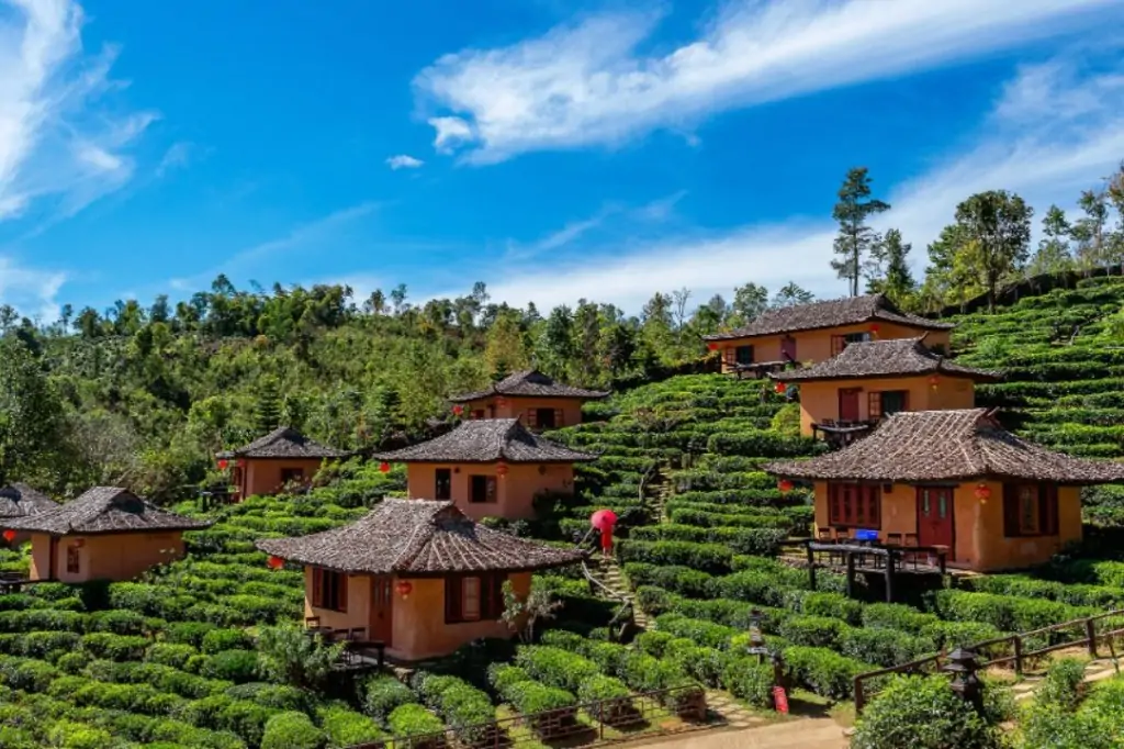 Двухдневная экскурсия «Центр Шри-Ланки»