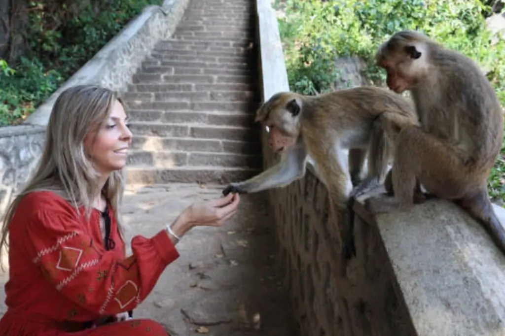 Двухдневная экскурсия «Центр Шри-Ланки»
