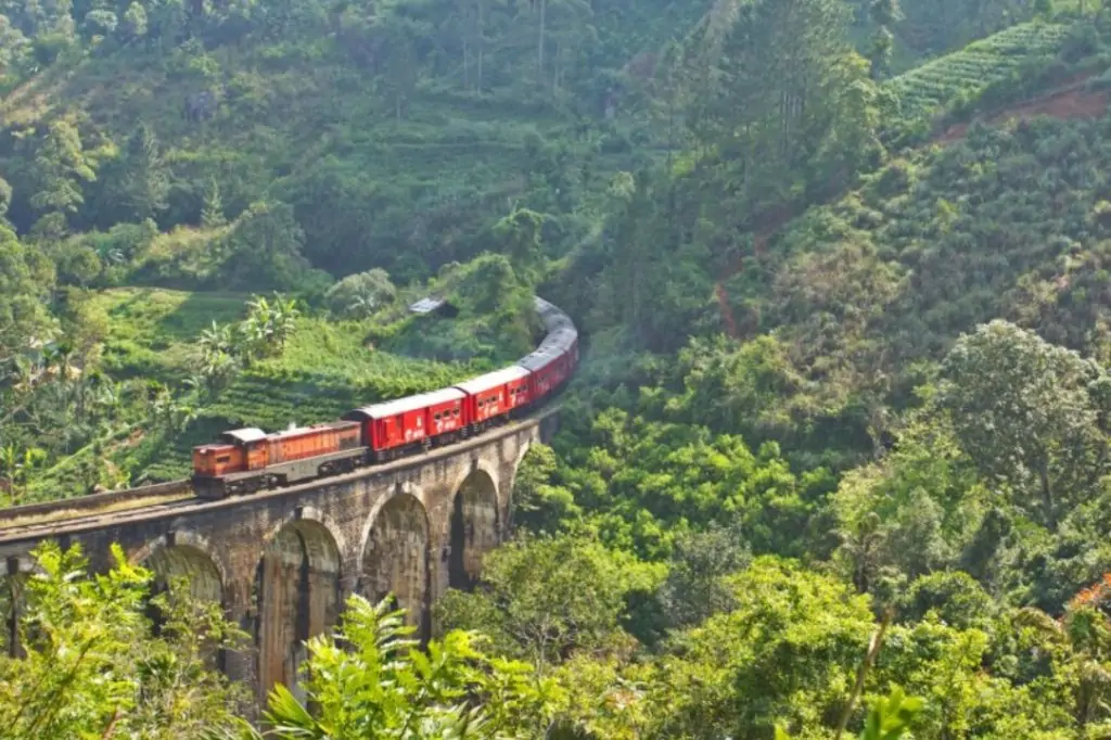 Двухдневная экскурсия «Центр Шри-Ланки»