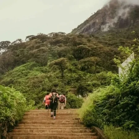 Двухдневная экскурсия «Элла и Пик Адама» на Шри-Ланке