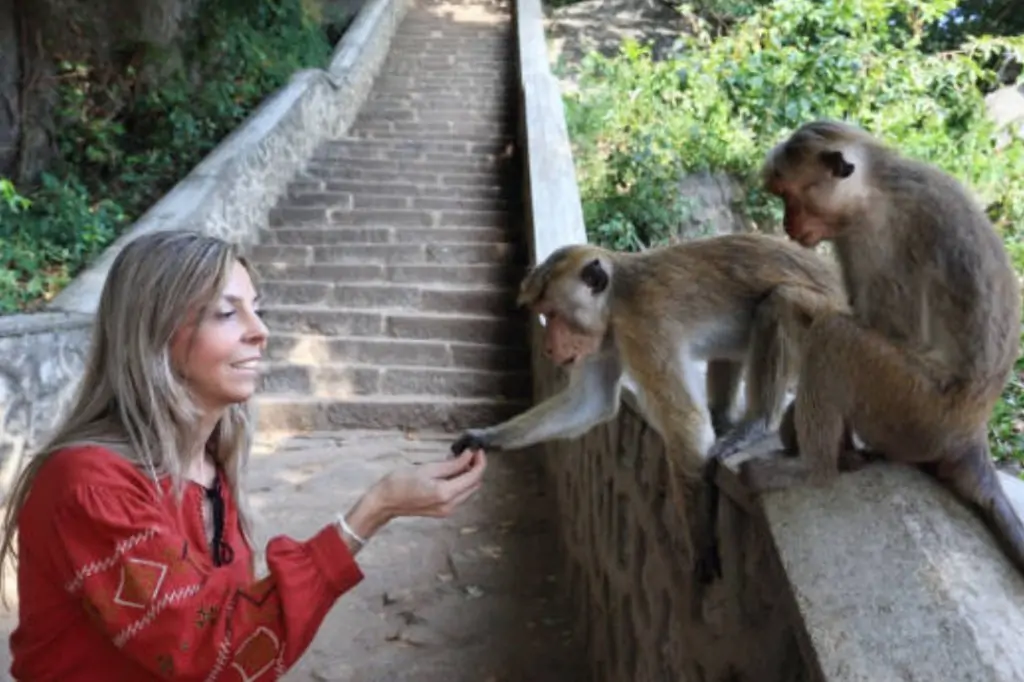 Двухдневная экскурсия «Элла и Пик Адама» на Шри-Ланке