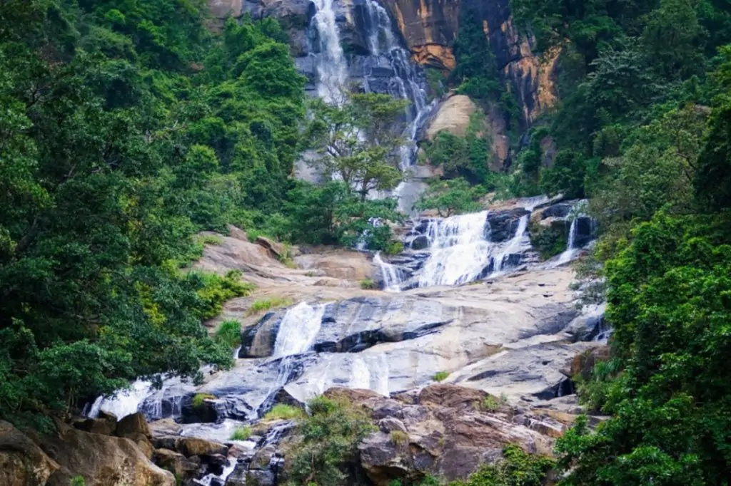 Двухдневная экскурсия «Элла и Пик Адама» на Шри-Ланке