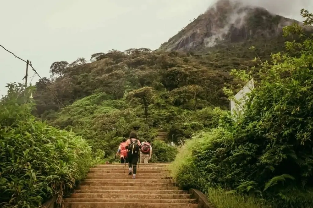 Двухдневная экскурсия «Элла и Пик Адама» на Шри-Ланке