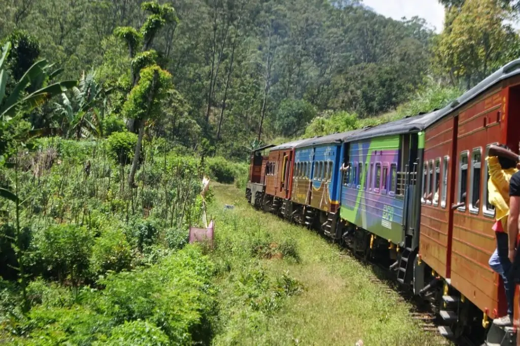 Экскурсия «Золотое кольцо Шри-Ланки» — 3 дня / 2 ночи
