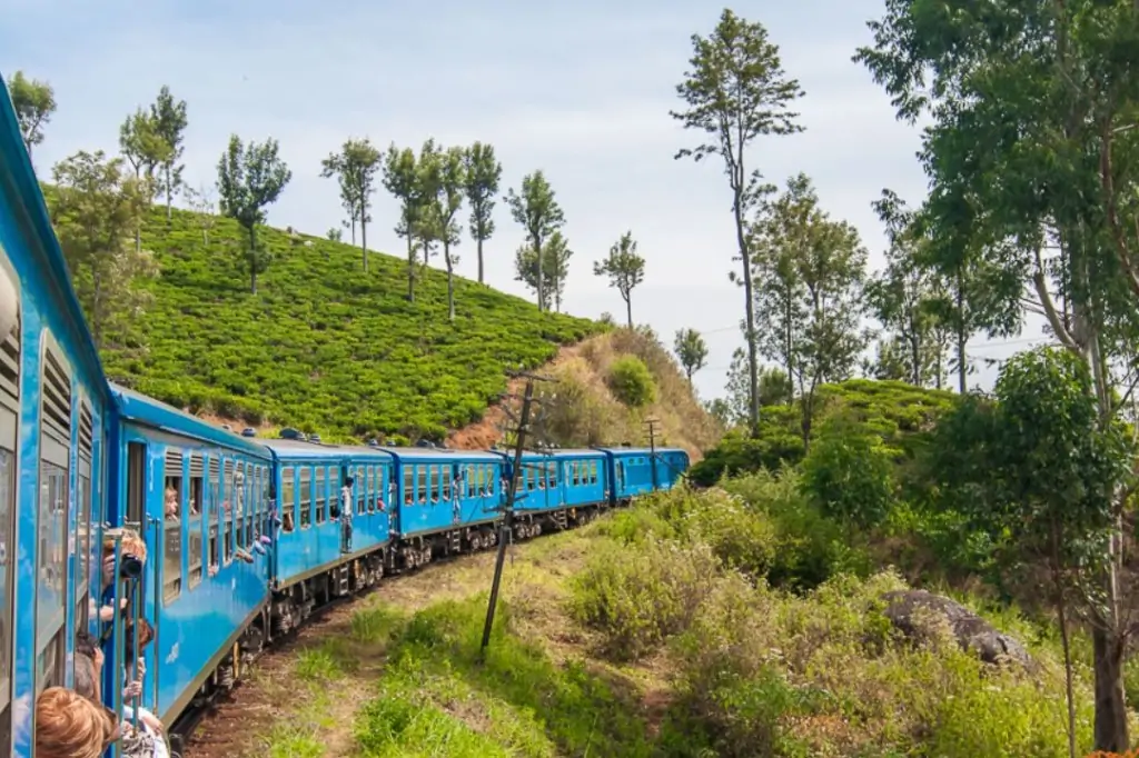 Экскурсия «Золотое кольцо Шри-Ланки» — 3 дня / 2 ночи