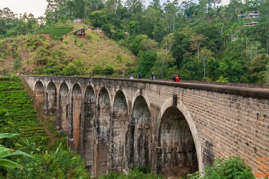 Экскурсия «Золотое кольцо Шри-Ланки» — 3 дня / 2 ночи