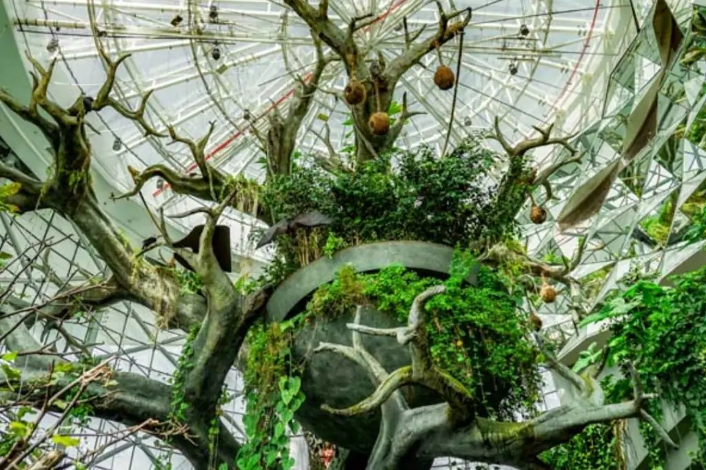 Колесо Обозрения Ain Dubai + Green Planet в Дубае