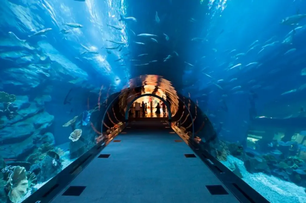 Билеты в Dubai Aquarium & Underwater Zoo