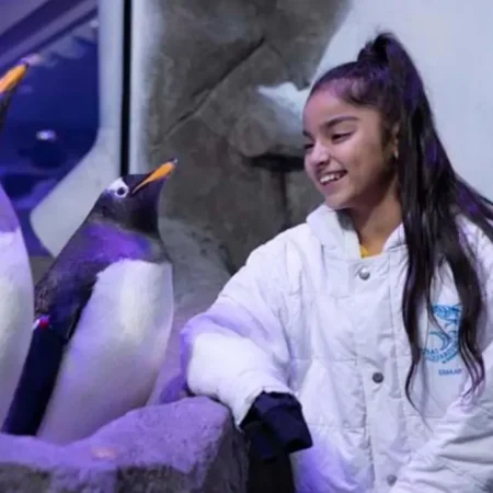 Билеты в Dubai Aquarium & Underwater Zoo