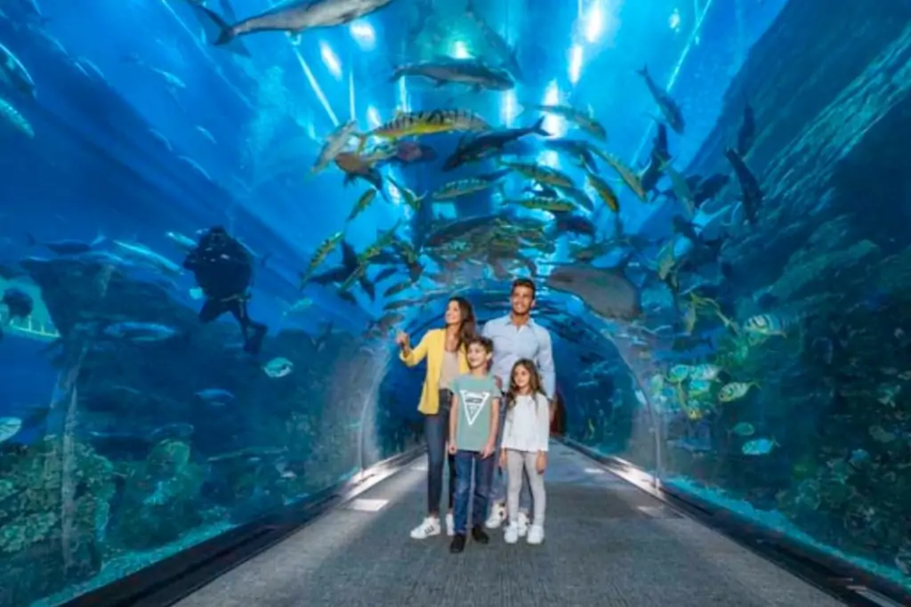 Билеты в Dubai Aquarium & Underwater Zoo