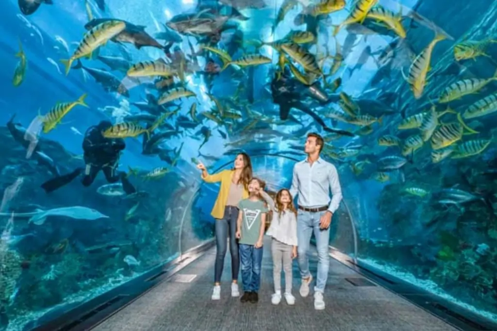 Билеты в Dubai Aquarium & Underwater Zoo