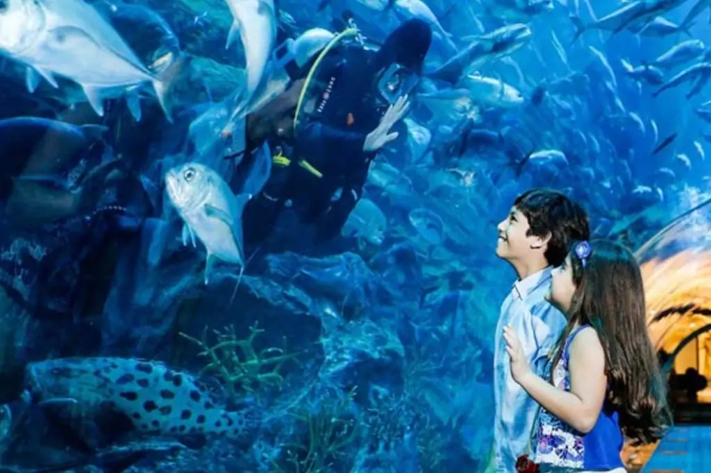 Билеты в Dubai Aquarium & Underwater Zoo