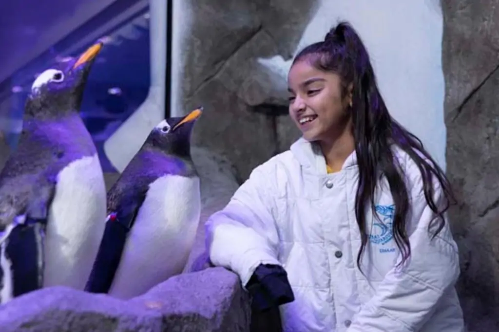 Билеты в Dubai Aquarium & Underwater Zoo