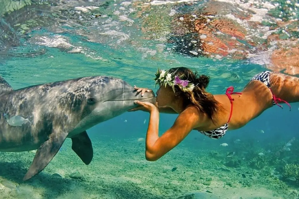 Дневная экскурсия в Эль-Гуну из Хургады