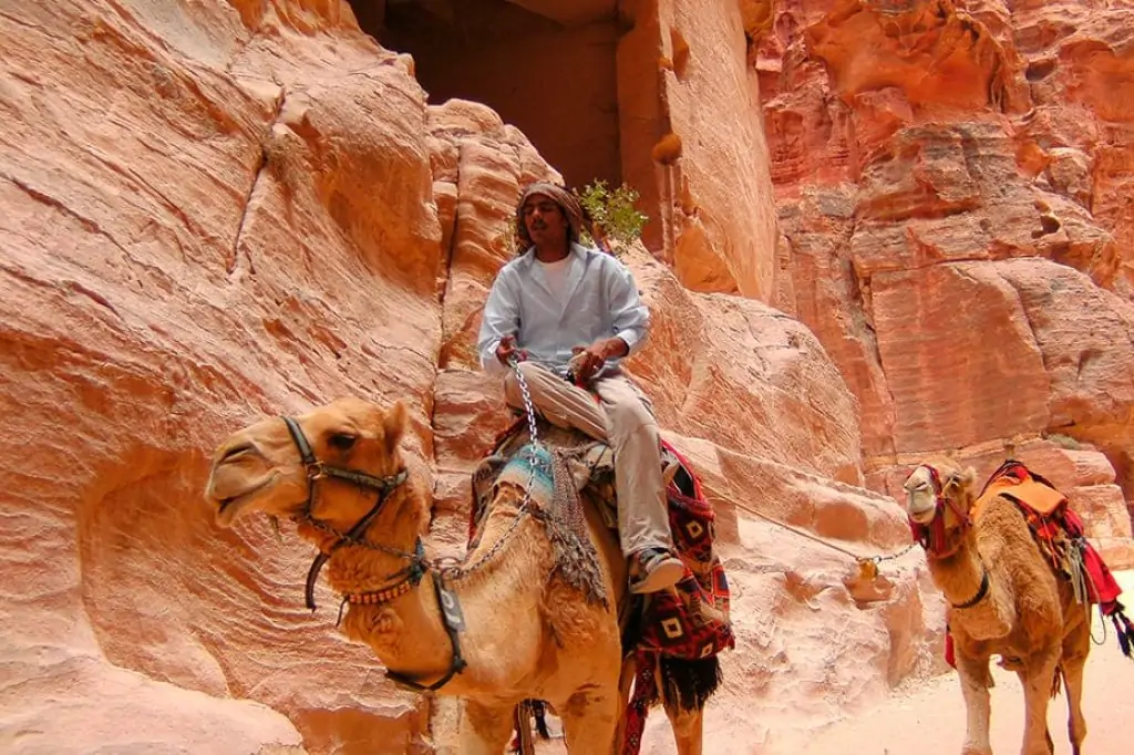 Экскурсия в Иорданию из Шарм-эль-Шейха