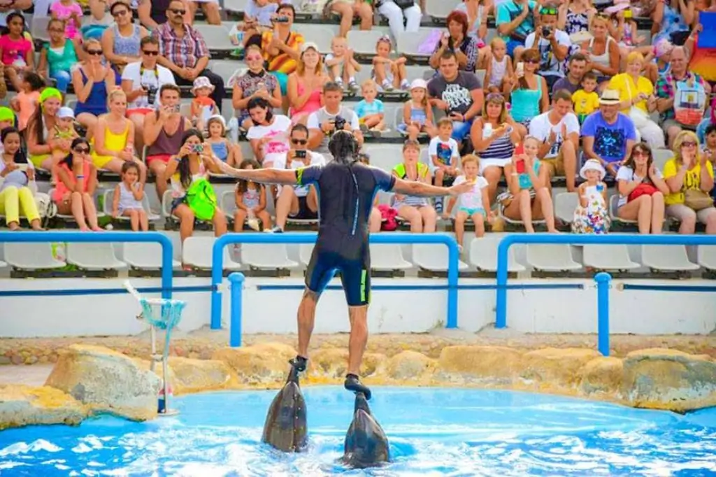 Дельфинарий в Шарм-эль-Шейхе