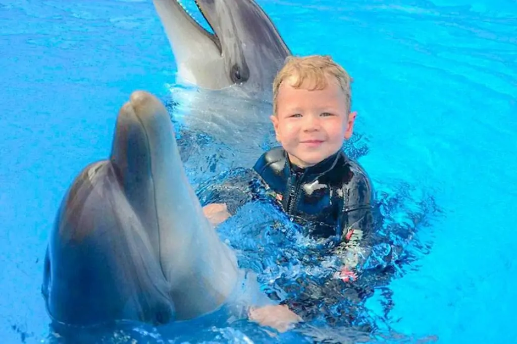 Дельфинарий в Шарм-эль-Шейхе