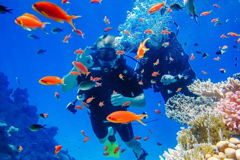 Остров Парадайз (Hula-Hula) из Хургады