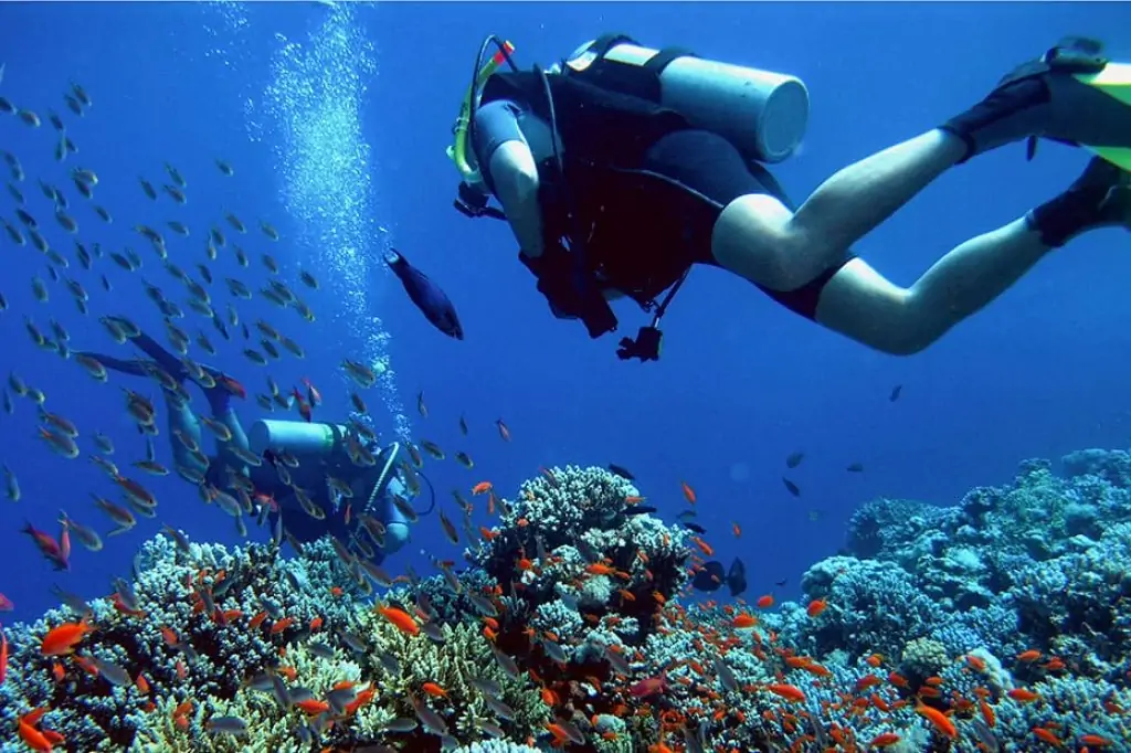 Остров Парадайз (Hula-Hula) из Хургады