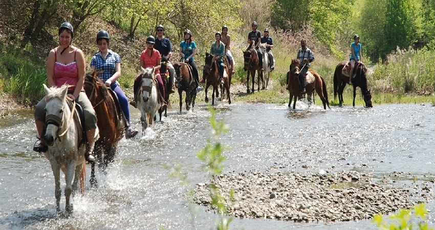 Прогулка на лошадях в Бодруме - Экскурсии в Бодруме - Turteka