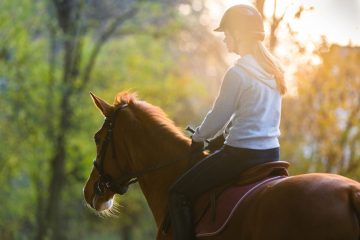 Прогулка на лошадях в Бодруме - Верховая езда - Цена и Отзывы