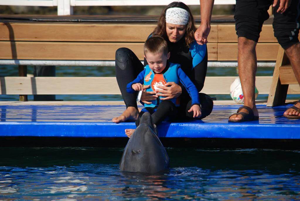 Плавание с дельфинами - Экскурсии в Бодруме - Turteka