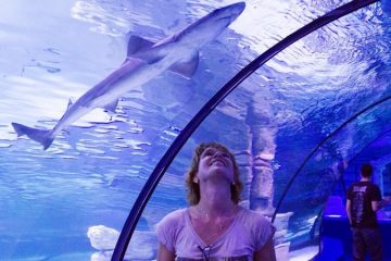 Аквариум в Анталии - Билет в Antalya Aquarium - Цена - Фото и Отзывы
