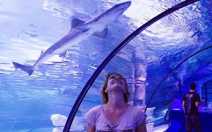 Аквариум в Анталии - Билет в Antalya Aquarium - Цена - Фото и Отзывы