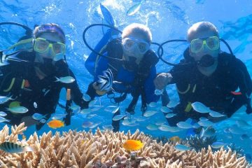 Дайвинг в Сиде - Погружение с аквалангом - Цена - Фото и Отзывы