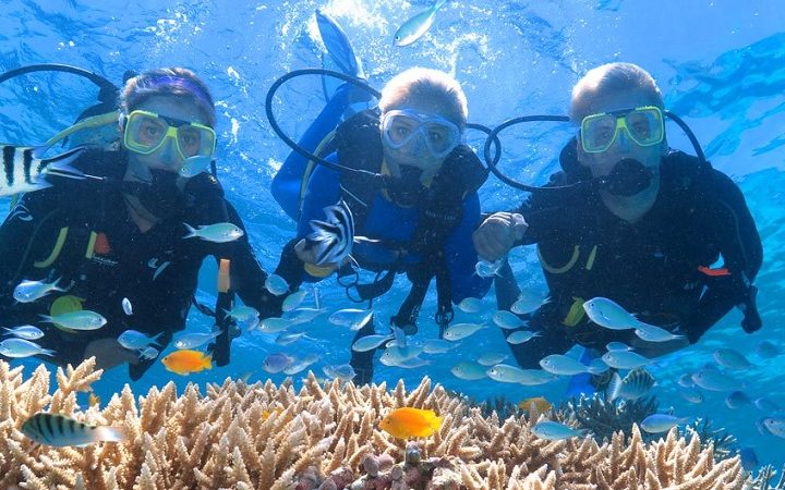 Дайвинг в Сиде - Погружение с аквалангом - Цена - Фото и Отзывы